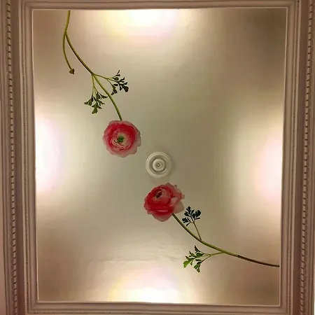 Appart. Delizioso Nel Centro Di Vaticano Appartement